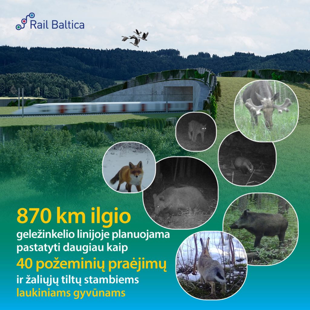 RB-overpass-LT-1024×1024